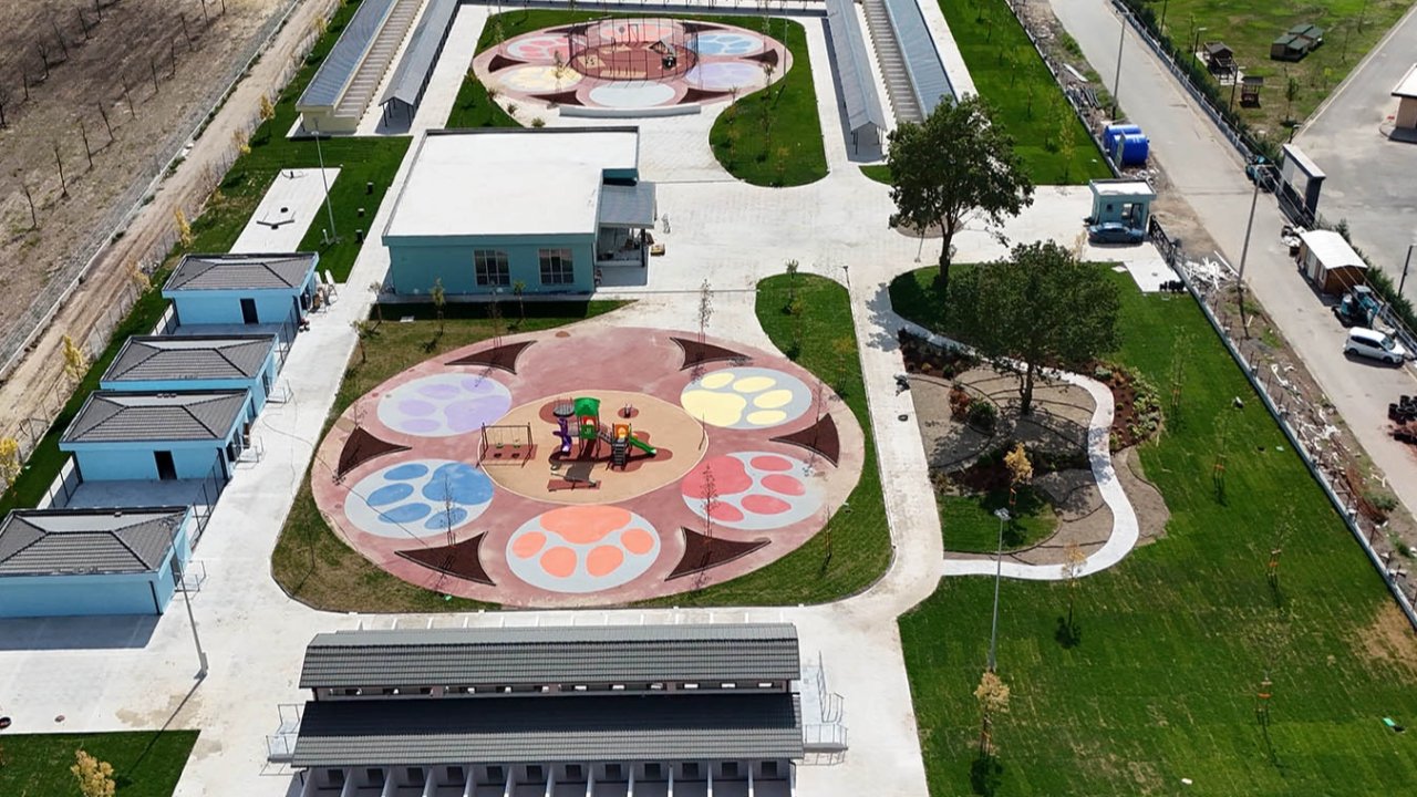 Sakarya’da sokak hayvanlarına güvenli yuva