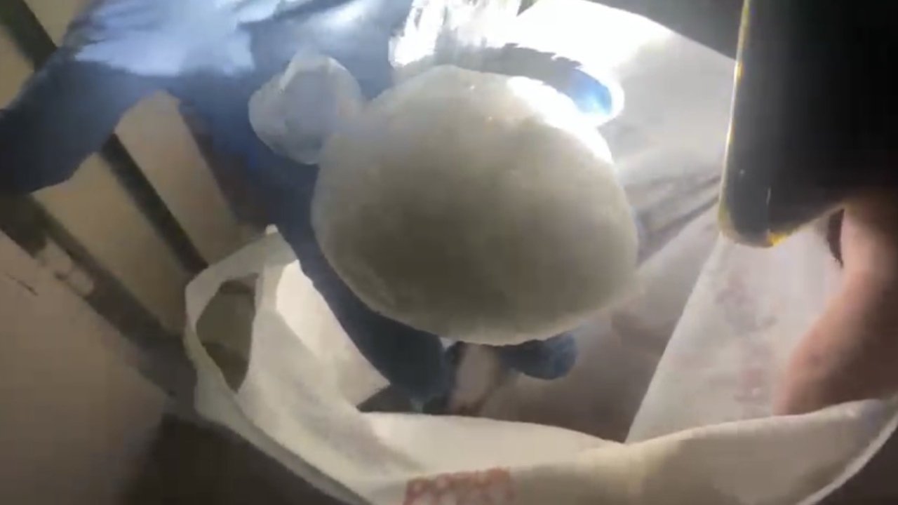 Samsun’da 183,8 gram uyuşturucu ele geçirildi