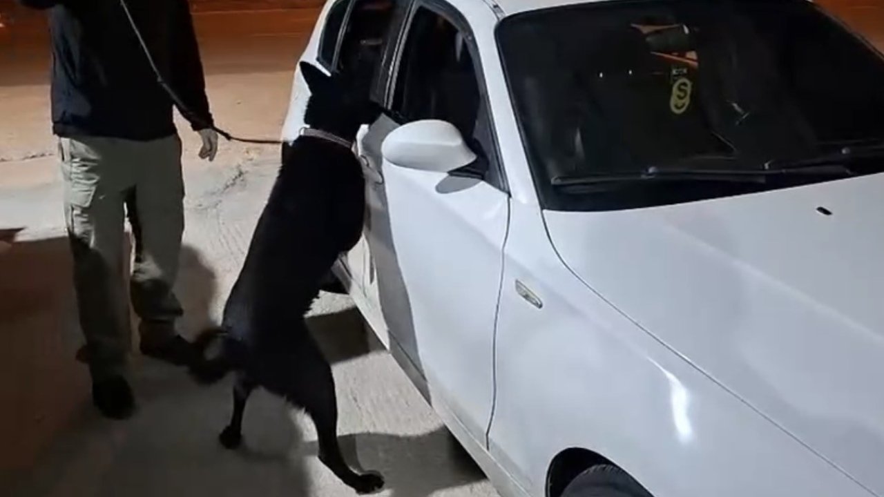 Samsun’da narkotik köpeği Çakır, yakıt deposuna gizlenen metamfetamini buldu