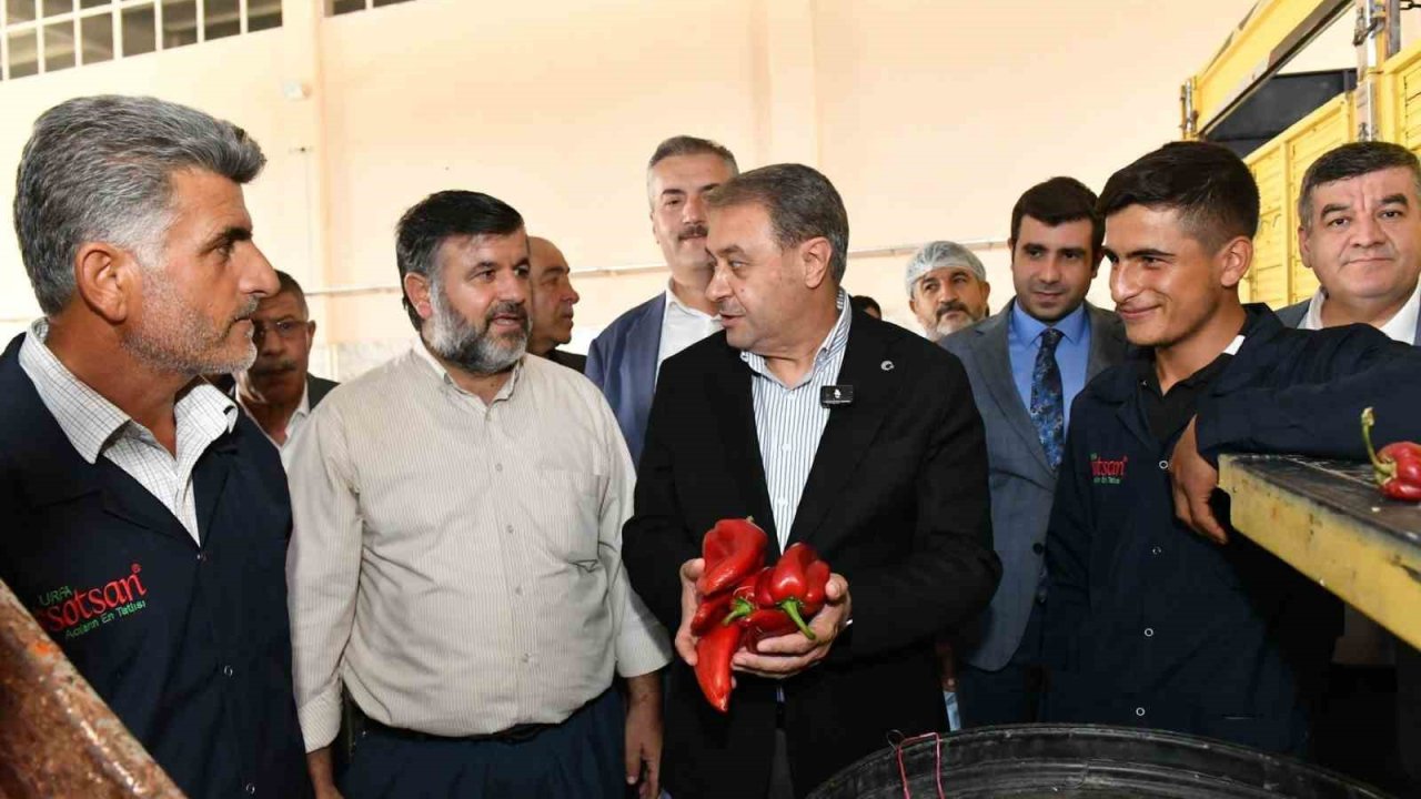 Şanlıurfa Valisi Hasan Şıldak Gıda OSB’de incelemelerde bulundu