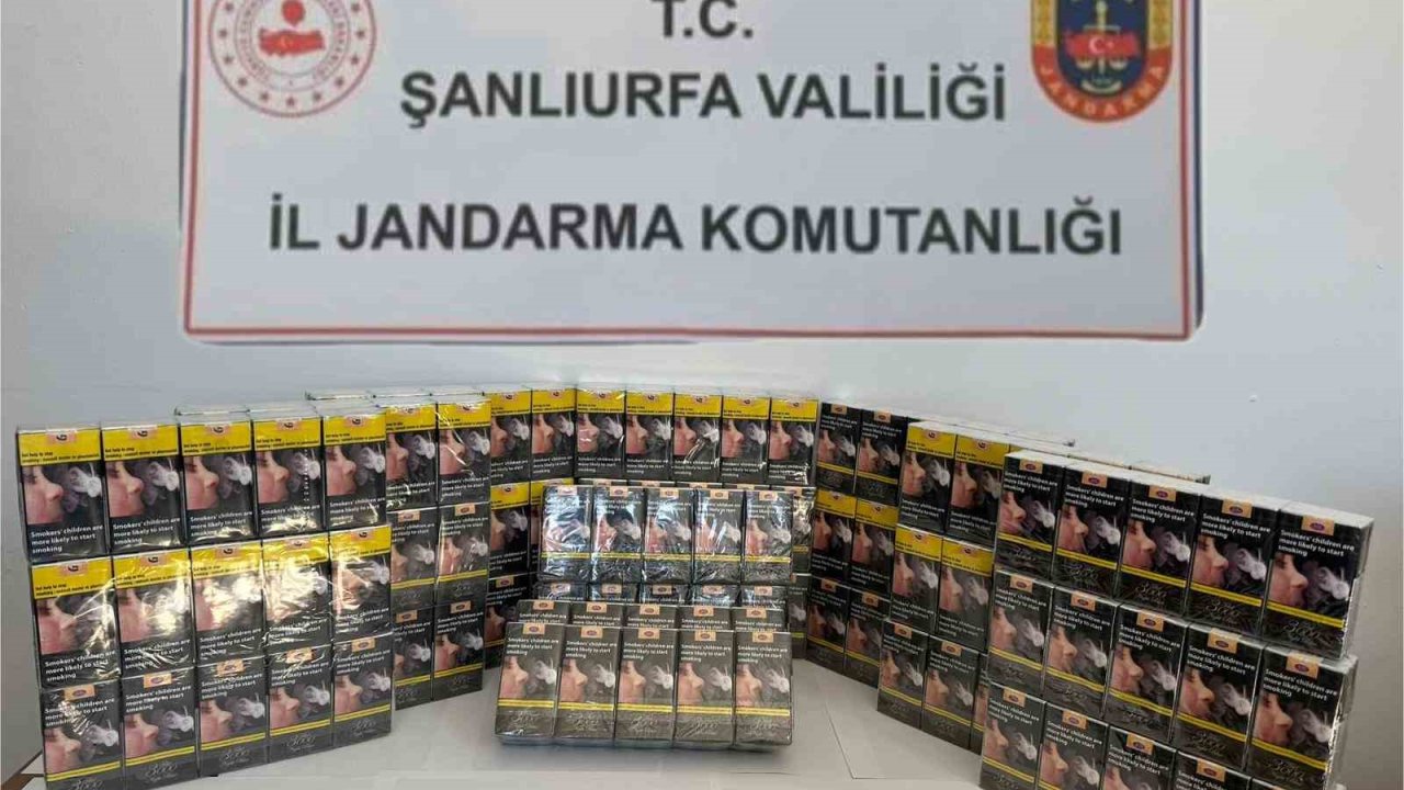 Şanlıurfa’da bin 496 paket gümrük kaçağı sigara ele geçirildi