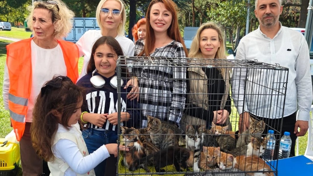 “Satın Alma, Sahiplen” etkinliğinde can dostlara yeni yuvalar