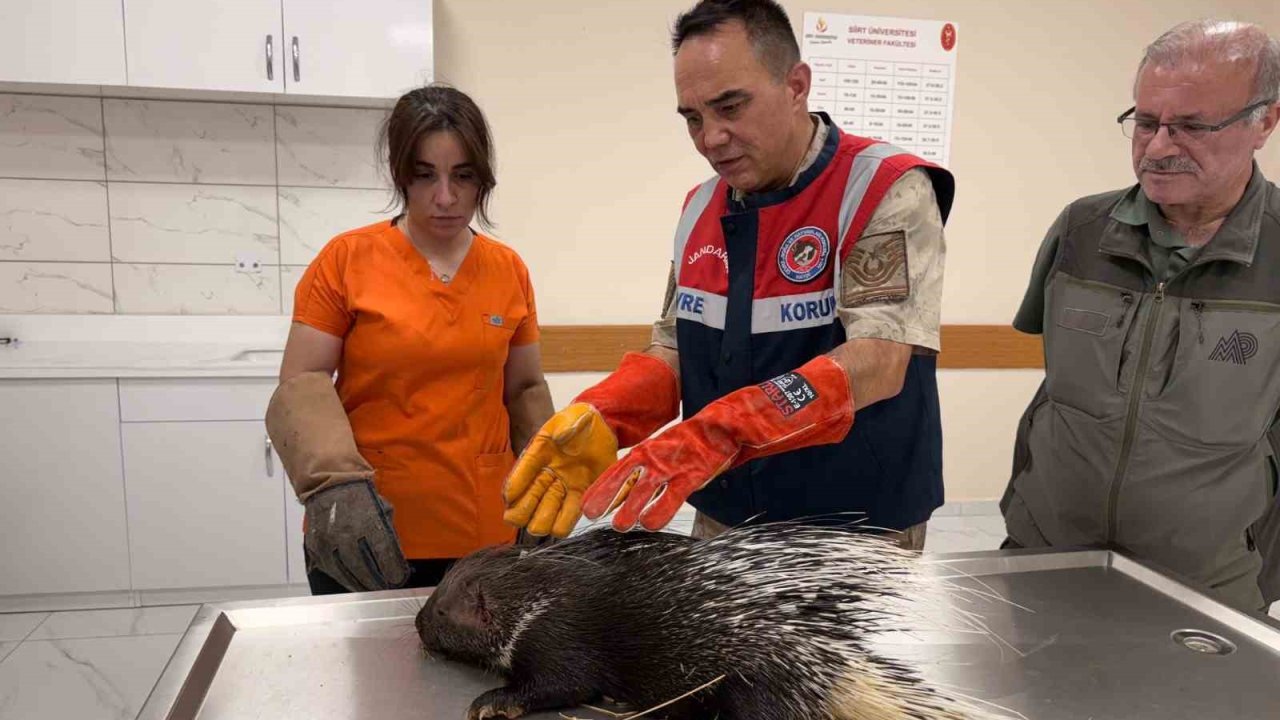 Siirt jandarmasından doğa dostu çalışmalar