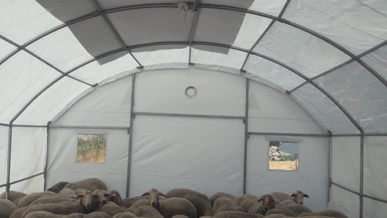 Sındırgı’da depremden etkilenen üreticilere geçici hayvan barınma çadırı desteği