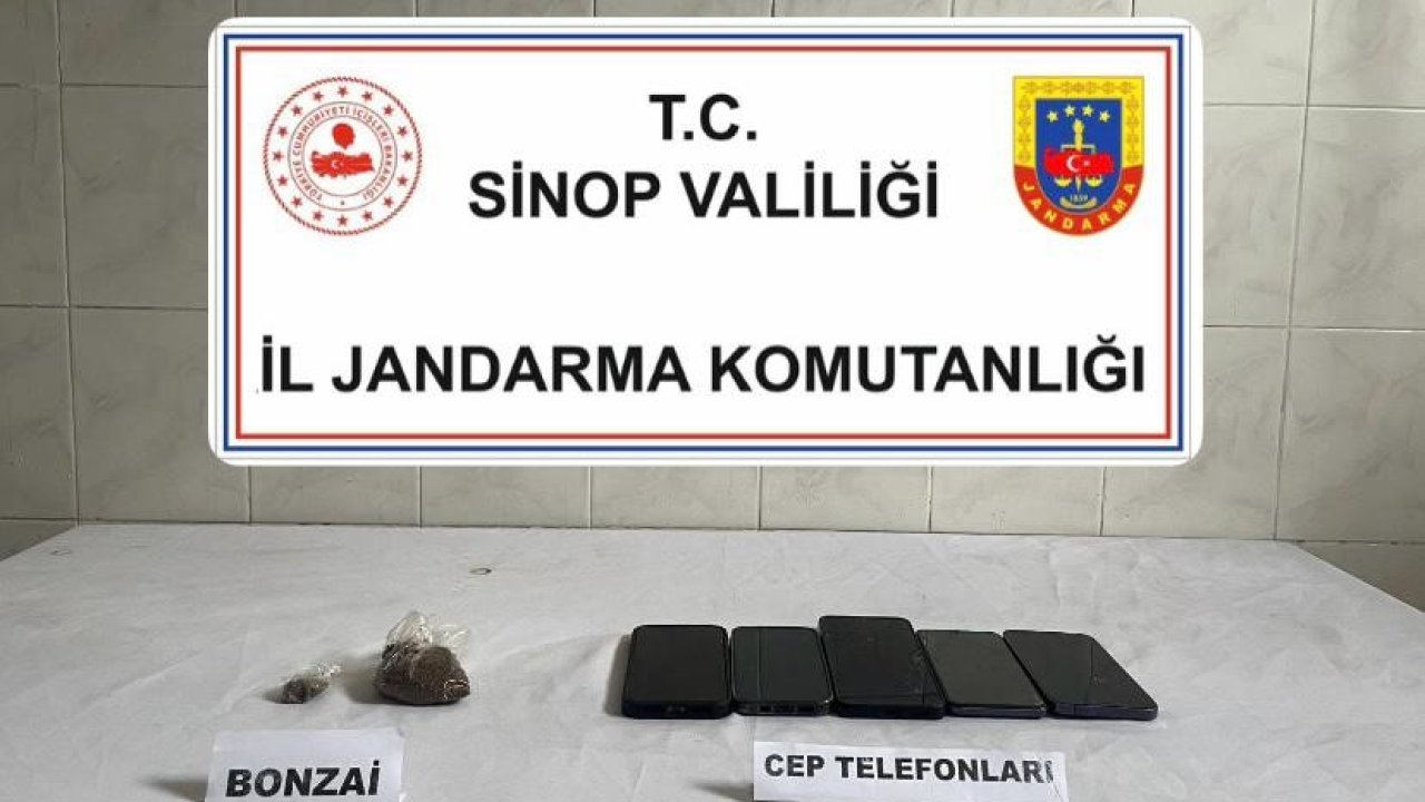 Sinop’ta bonzai ele geçirildi: 1 kişi tutuklandı