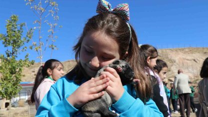 Sivas’ta öğrenciler, Anadolu’nun aslanı kangallarla buluştu