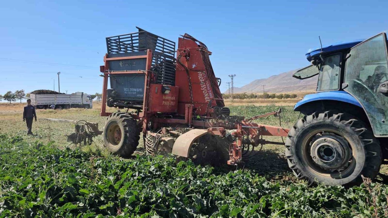 Tarımın kalbi Adilcevaz’da pancar sökümüne başlandı