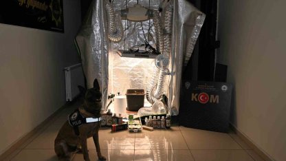 Test sonuçlarına para karşılığı müdahale: 20 gözaltı