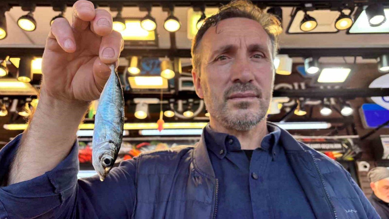 Trabzon’da balıkçıların ceza isyanı