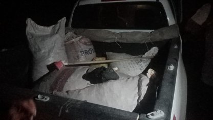 Tunceli’de Dağ Sarımsağı kaçakçılığı: 557 bin TL idari para cezası kesildi