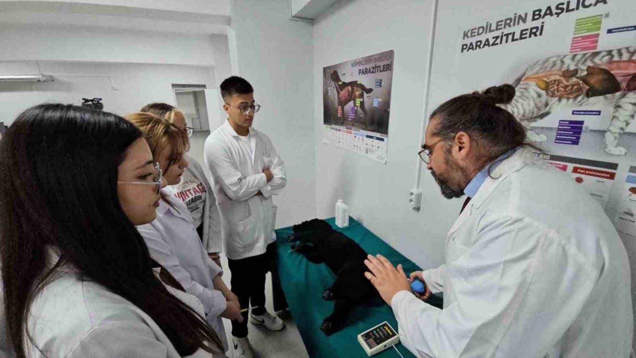 Türkiye’de bir ilk: Meslek yüksekokulunda veteriner sağlık eğitimi simülatörlerle veriliyor