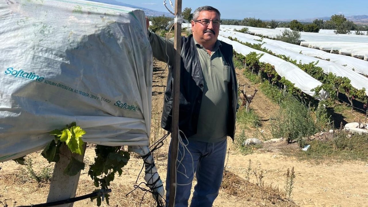 Üzüm bağını hırsızlara karşı kamera ile koruyor