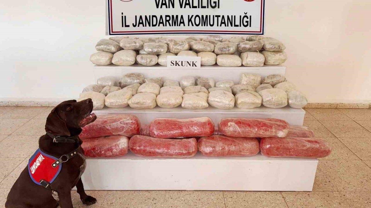 Van’da 61,9 kilogram skunk ele geçirildi