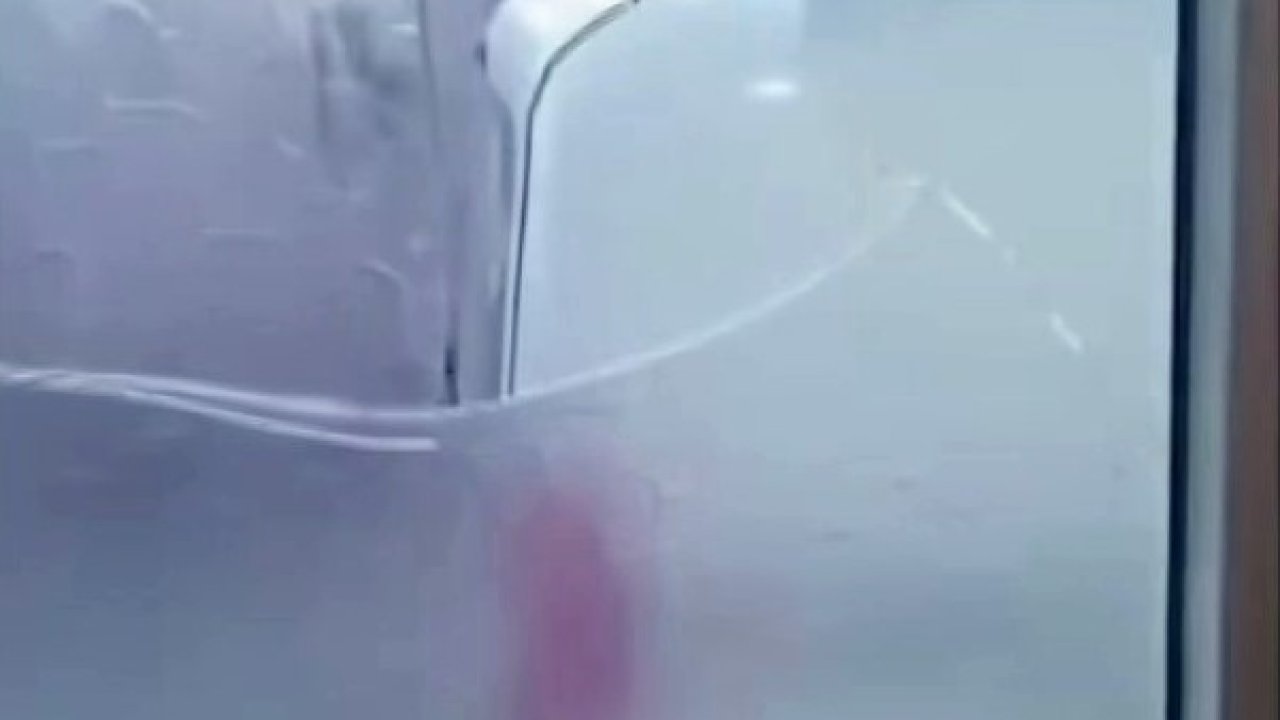 Yaşlı çift komşularının kabusu oldu