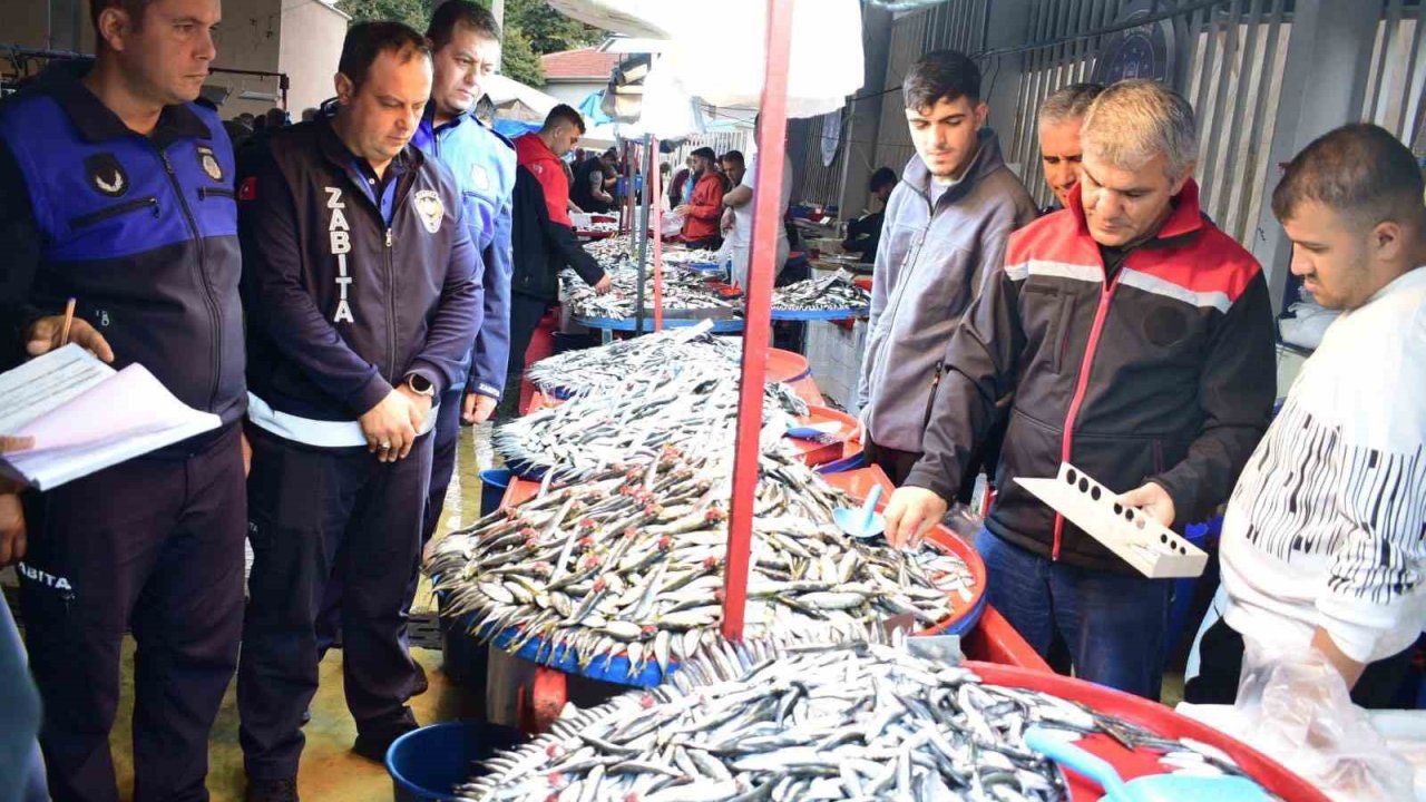 Yenişehir’de balık pazarı’na sıkı denetim