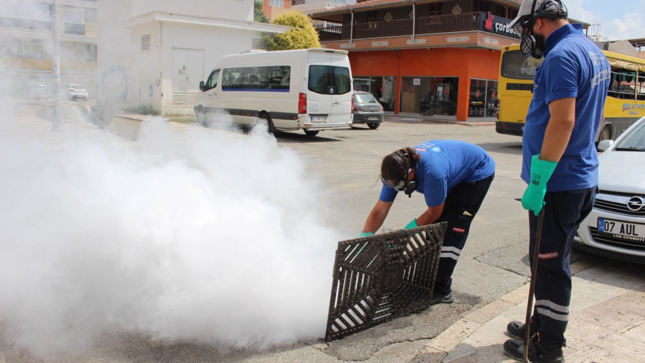 Antalya'da 19 ilçede yoğun vektörle mücadele