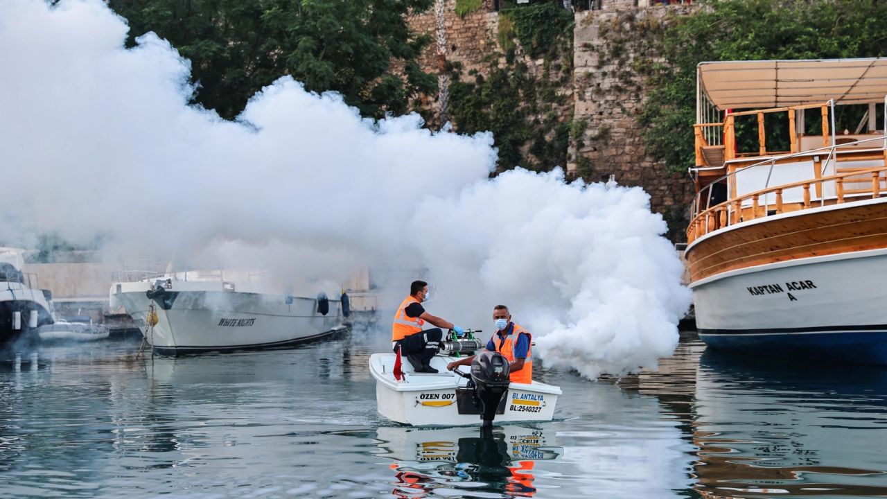 Antalya’da sahil bandında vektörle mücadele