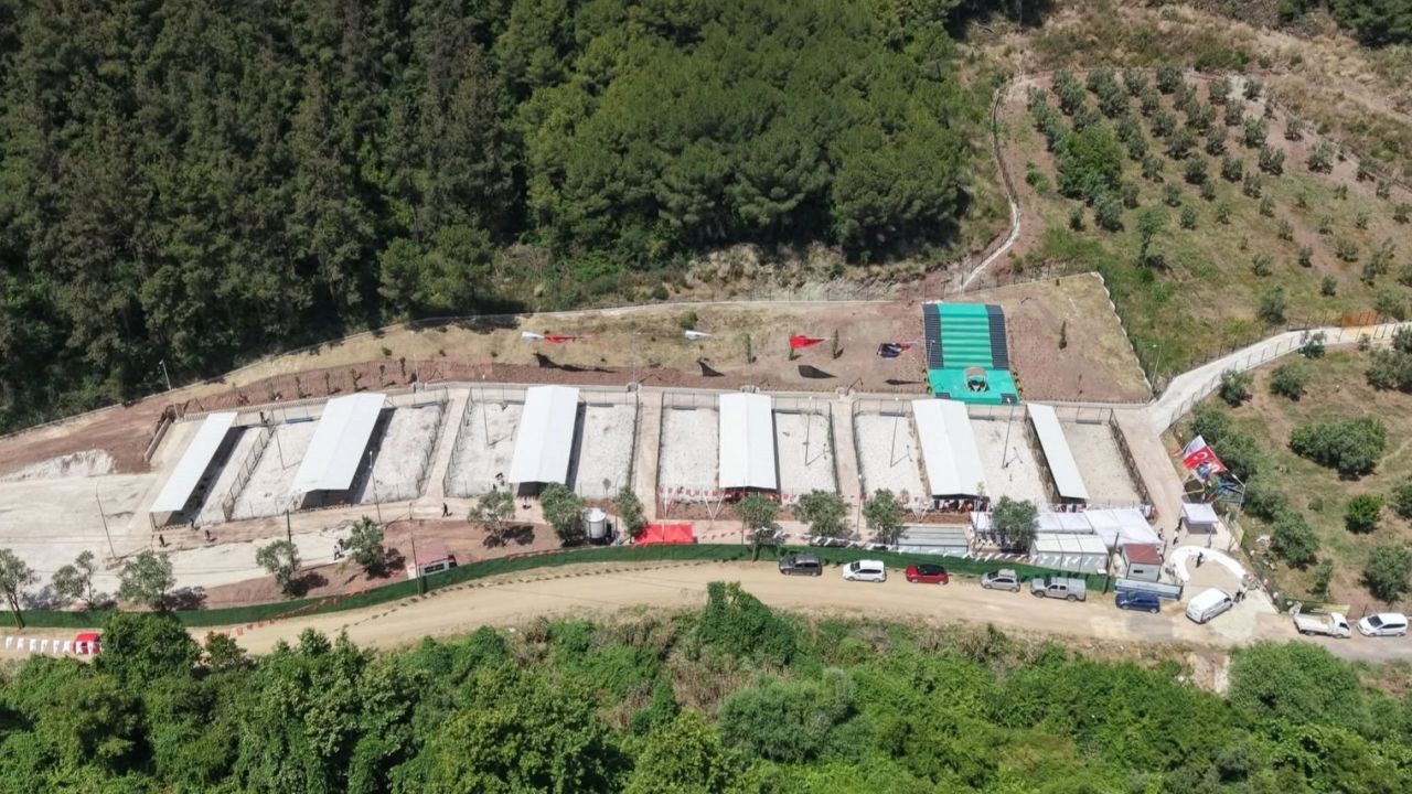 Bursa Gemlik’te sahipsiz hayvanlara modern yaşam alanı
