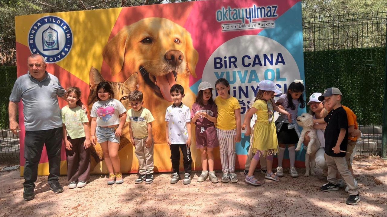 Bursa Yıldırım'da sahisiz sokak hayvanları öğrencileri ağırladı