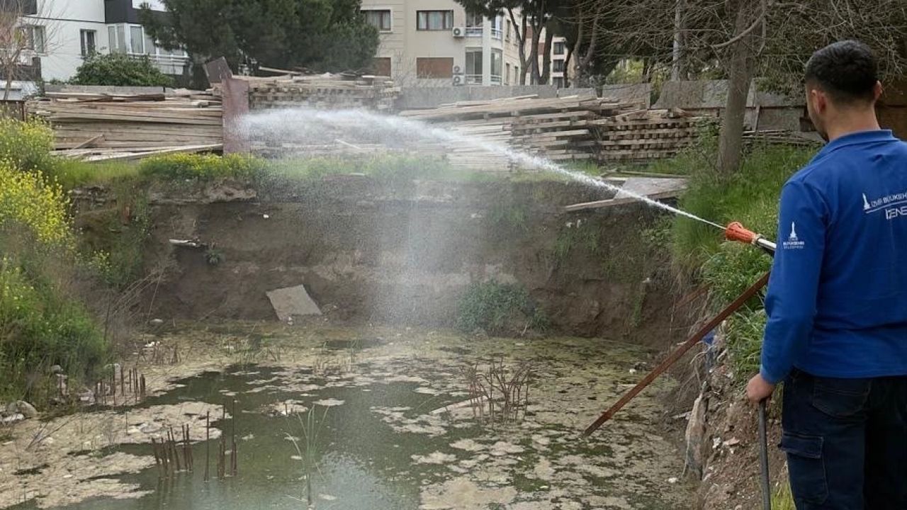 İzmir’de sivrisineğe karşı dev mücadele