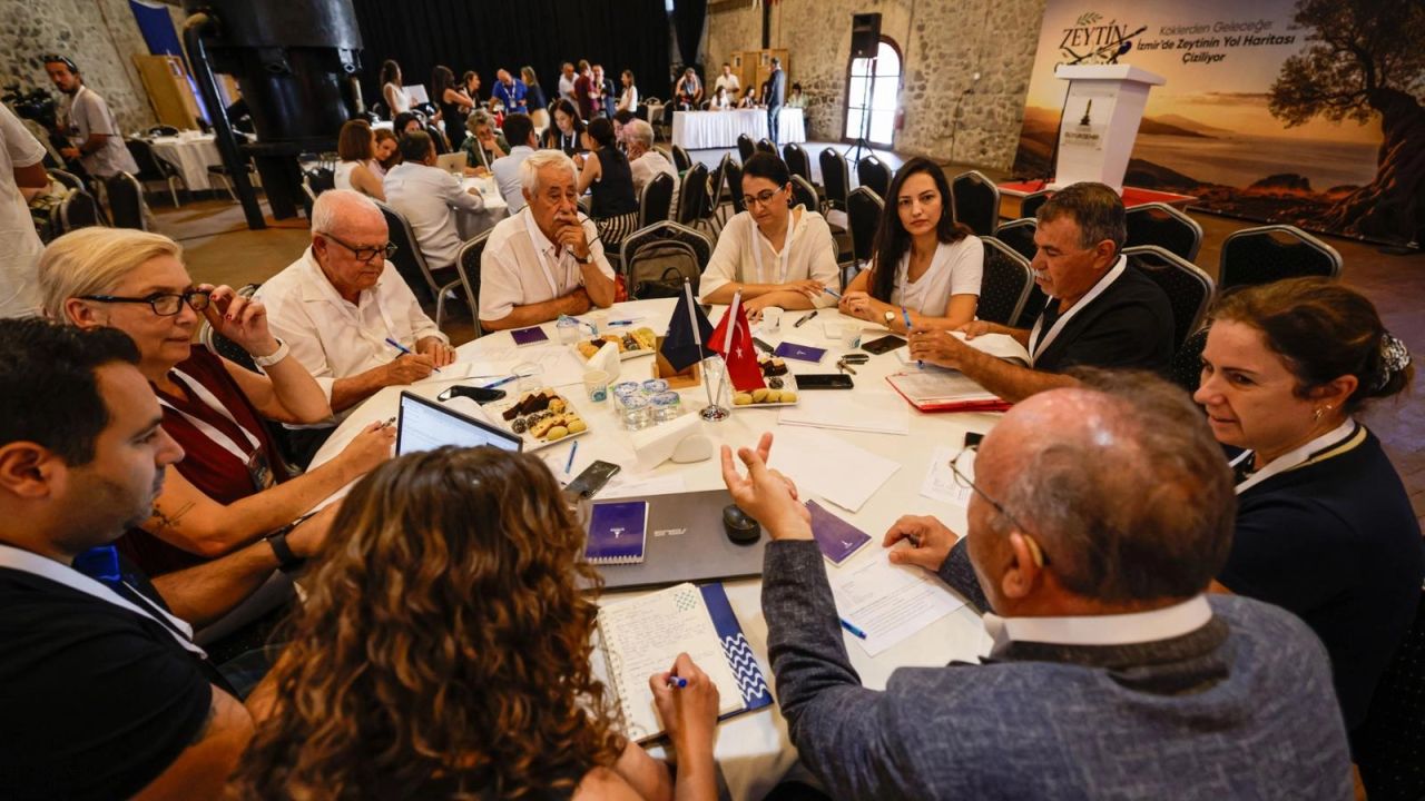 İzmir'de zeytininin yol haritası çizildi