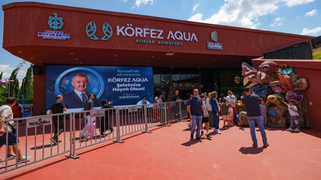 Kocaeli'de 2 günde su altı yaşamını 36 bin 809 kişi keşfetti