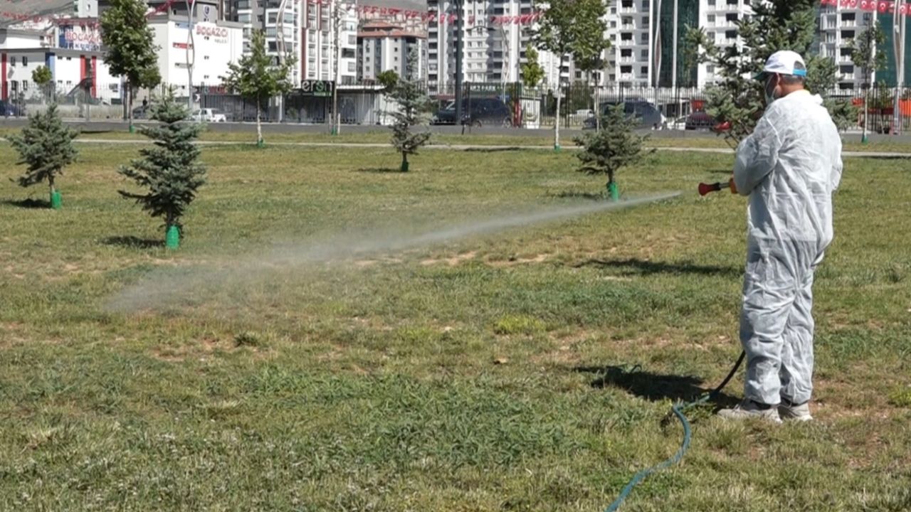 Malatya'da vektörel mücadele sürüyor