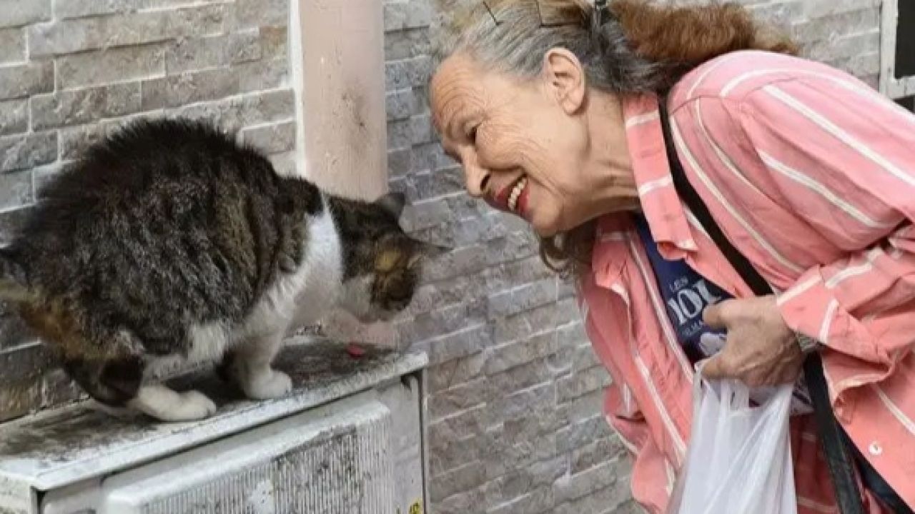 Sokak hayvanlarının “Panter Emel”i hayatını kaybetti