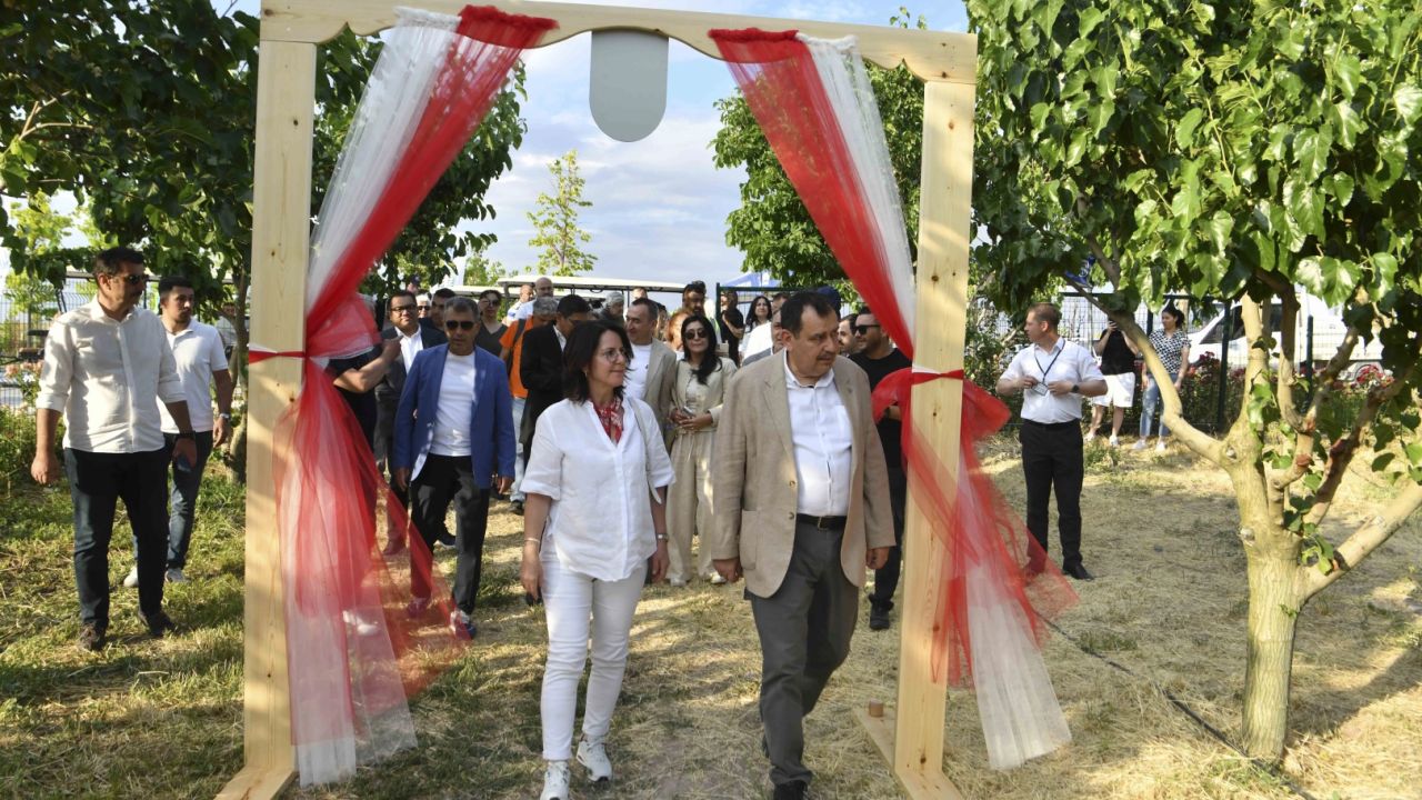 ATA Çiftliği’nde ilk dut toplandı