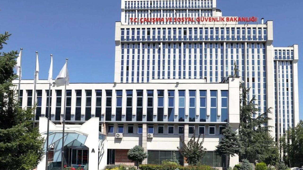 Bazı kamu kurumlarının hizmet kolları yeniden belirlendi