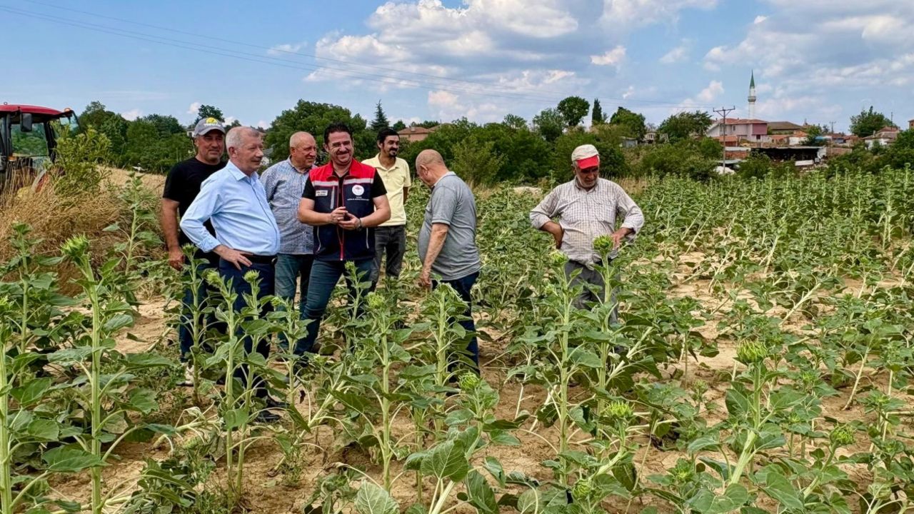 Edirne Keşan’da fırtına sonrası hasar tespiti başladı