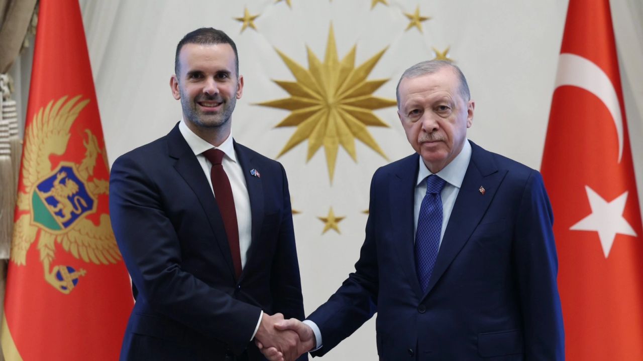 Erdoğan, Karadağ Başbakanı Spajiç’i kabul etti... Türkiye-Karadağ ilişkileri ele alındı