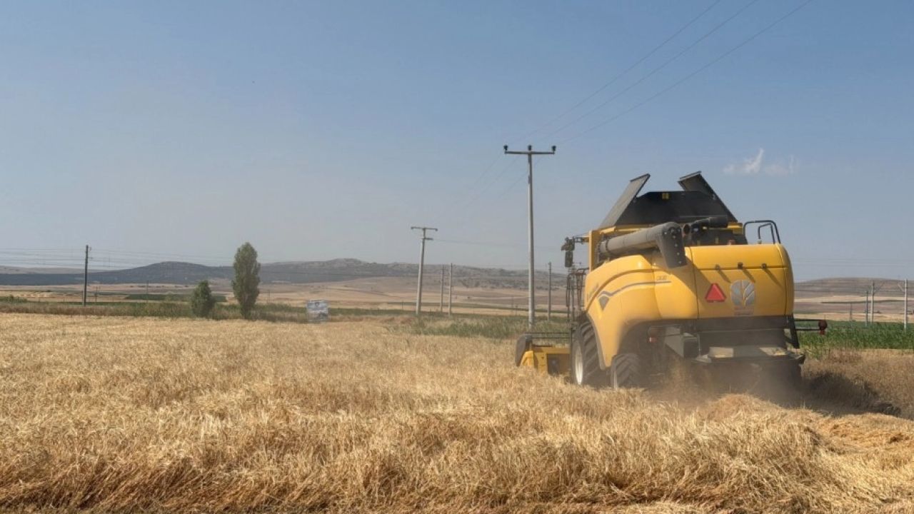 Eskişehir'de 77 tonluk arpa hasadı