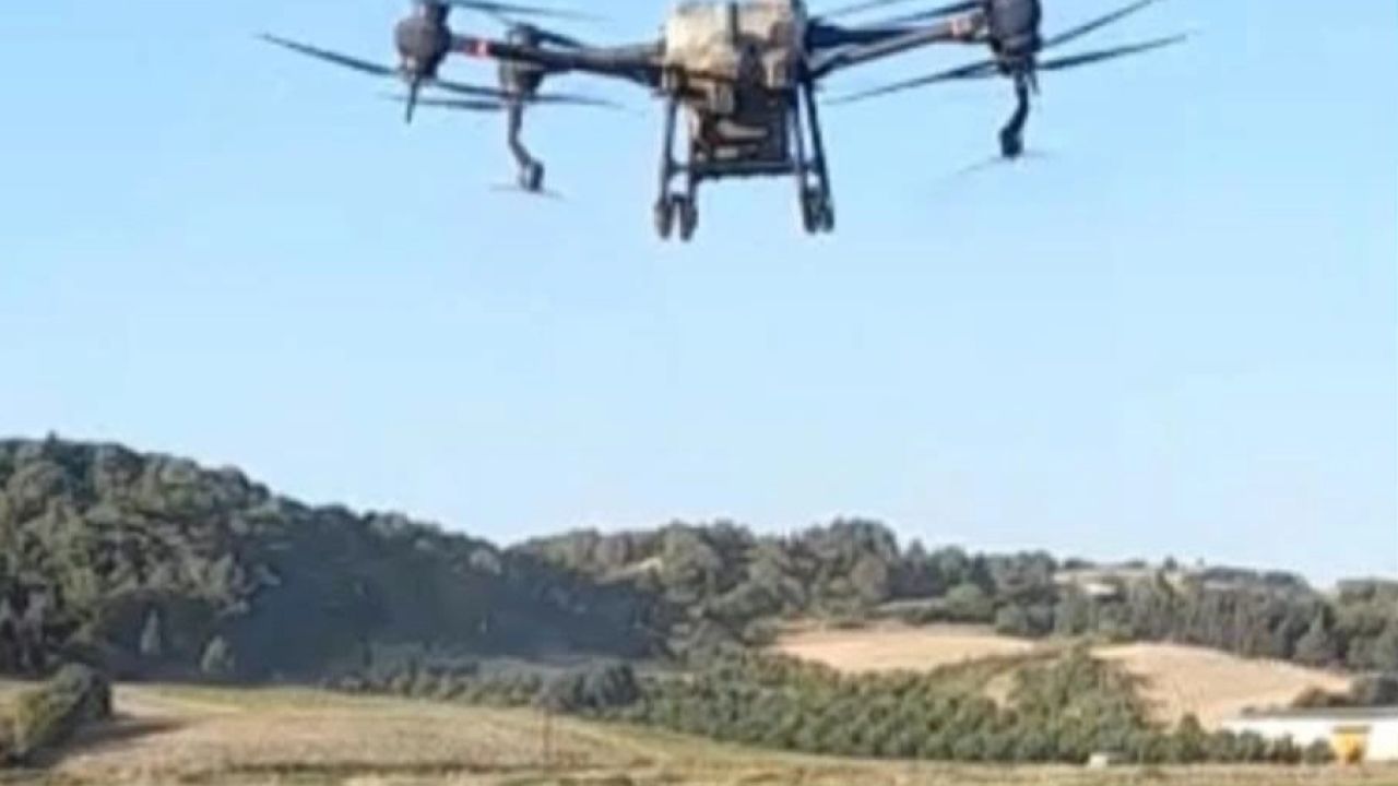 İpsala Ovası’nda kritik dönem