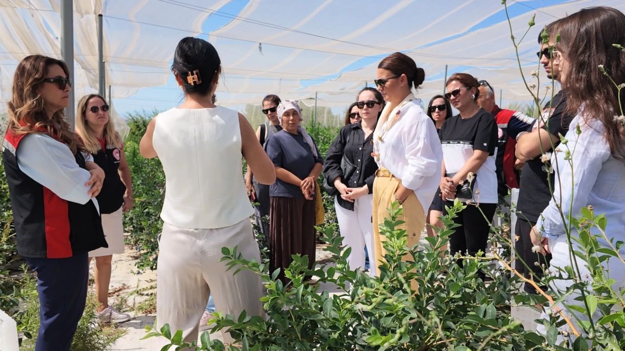 İzmir Tire'de Berry Hill Çiftliği'ne teknik gezi