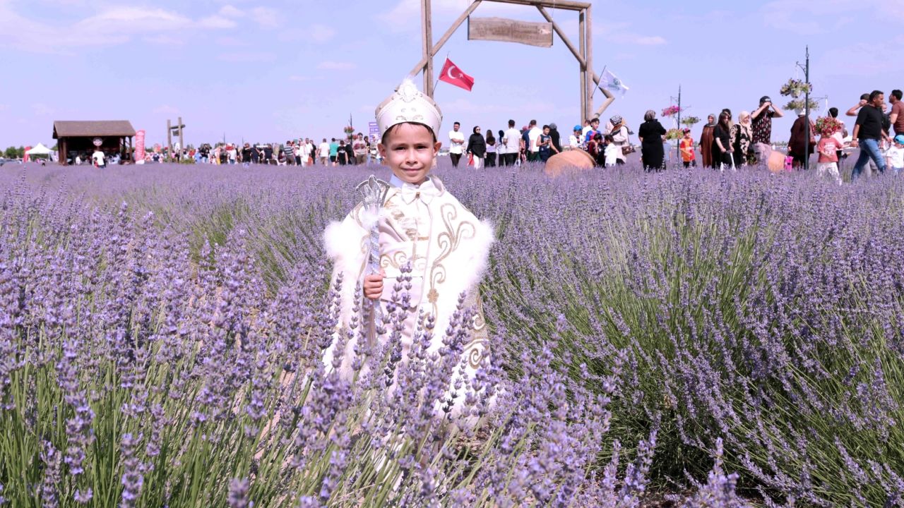 Konya Karatay'da Lavanta Bahçesi'nde festival hazırlığı