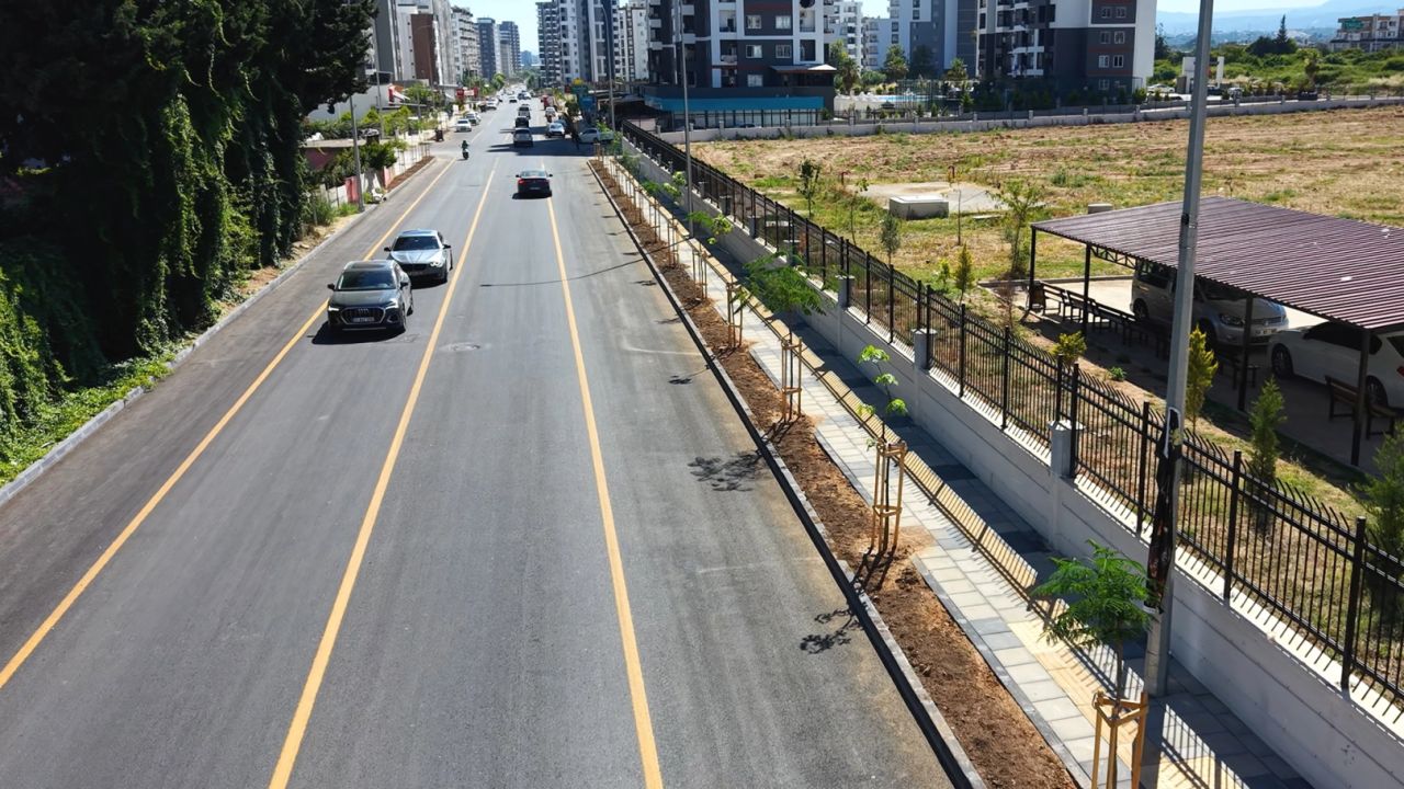 Mersin’de Gazi Paşa Caddesi 420 ağaçla yeşillendi