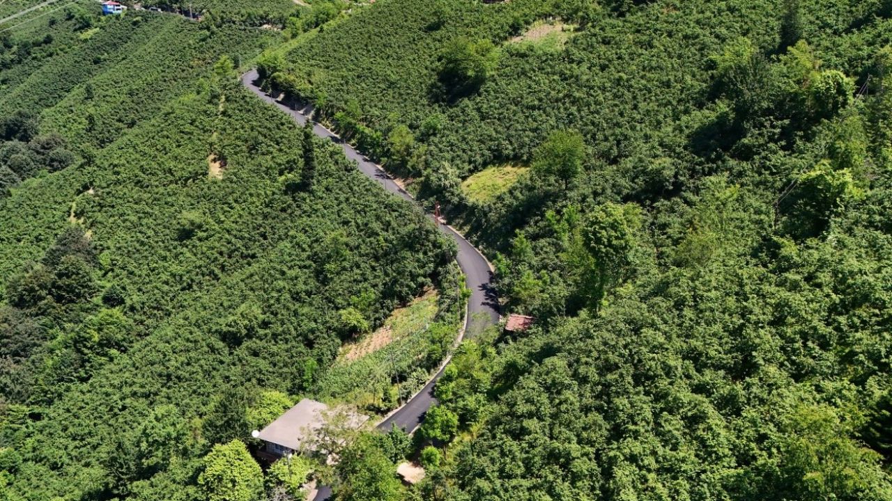 Ordu'da 3,5 kilometrelik asfalt tamamlandı